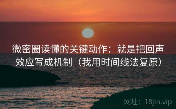 微密圈读懂的关键动作：就是把回声效应写成机制（我用时间线法复原）